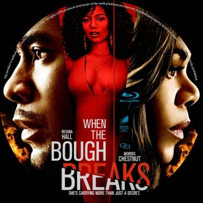 CoverCity - DVD Covers & Labels - When the Bough Breaks