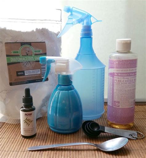 Non-Toxic Pesticides for Your Home and Garden | Pest control, Neem oil ...