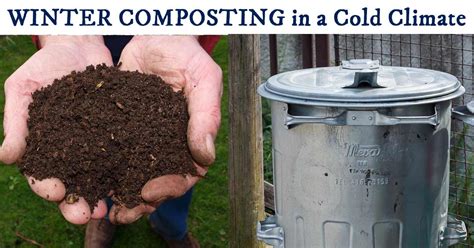 Easy Winter Composting in a Cold Climate | Empress of Dirt