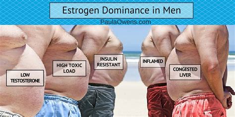 How to Reduce Estrogen Dominance - Paula Owens