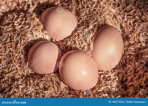 Fresh Chicken Eggs in the Nest Stock Photo - Image of four, birds: 140277020