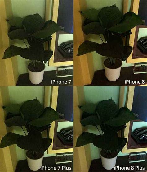 Apple iPhone 8 vs iPhone 7: Rear camera comparison | Digit