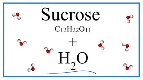 Equation for C12H22O11 + H2O (Sucrose + Water) - YouTube