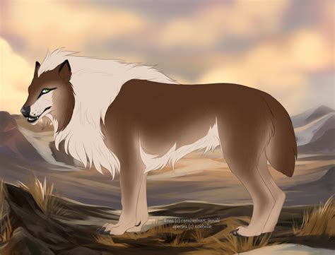 Nymeria 6214 by TotemSpirit on DeviantArt