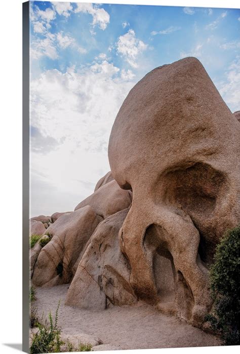 Skull Rock, Joshua Tree National Park, California Wall Art, Canvas ...