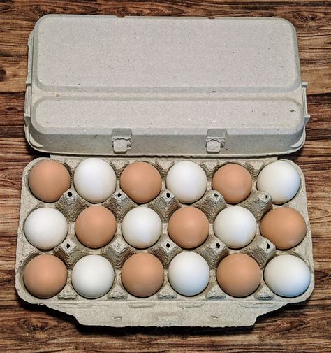 Standard 18 ct. Egg Cartons BLANK | Etsy