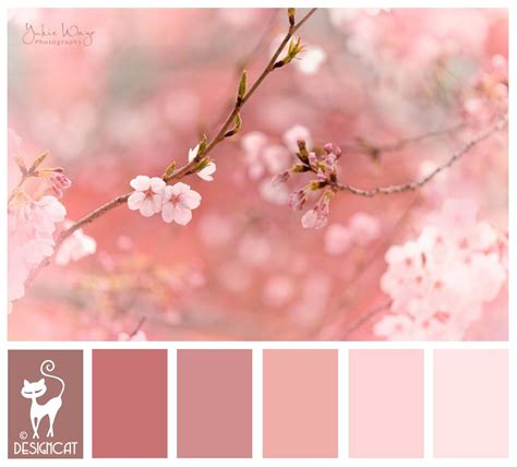Cherry Blossom - Pink, blush, dusky, rose Designcat Colour Inspiration Board Color Schemes ...