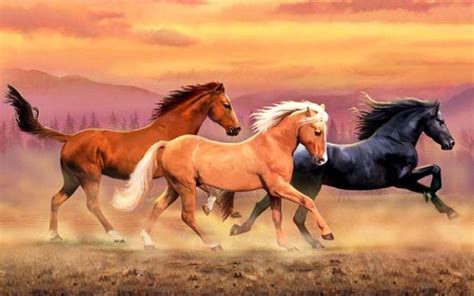 Wild Horses Wallpapers - Top Free Wild Horses Backgrounds - WallpaperAccess