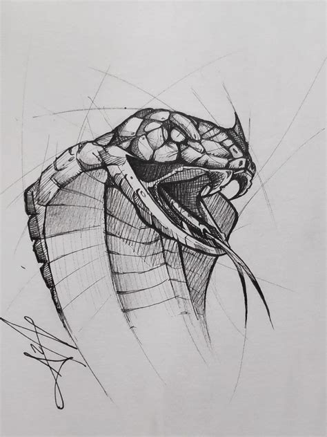 Pin by Sanele Dhlamini on Drawing Tips | Snake drawing, Snake sketch, Cobra tattoo