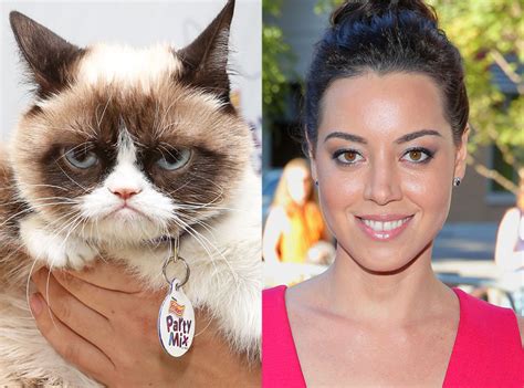 Aubrey Plaza to Voice Grumpy Cat in Lifetime TV Movie Grumpy Cat's Worst Christmas Ever | E! News