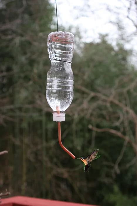 Water Bottle Hummingbird Feeder in 2020 | Homemade hummingbird feeder ...