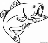 Bass Coloring Pages 17 Free Printables  ColoringAll sketch template