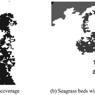 (PDF) Simulation of seagrass bed mapping by satellite images based on the radiative transfer model