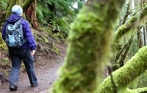 5 Northwest Hikes that Every Pacific Northwesterner Needs to Do | Hiking, Outdoors adventure ...