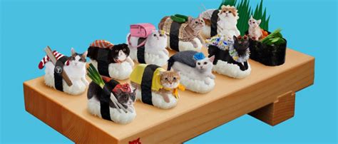 Cats + Sushi - ShockBlast