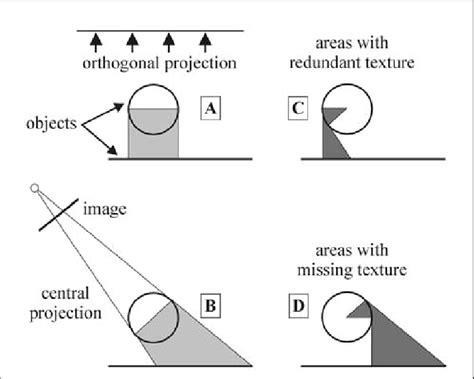 The question of occlusion. A: surface occlusion in the direction of ...