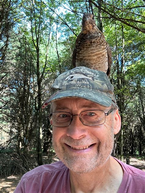 Why Mister Grouse Is the Friendliest Bird in the Forest - The New York Times