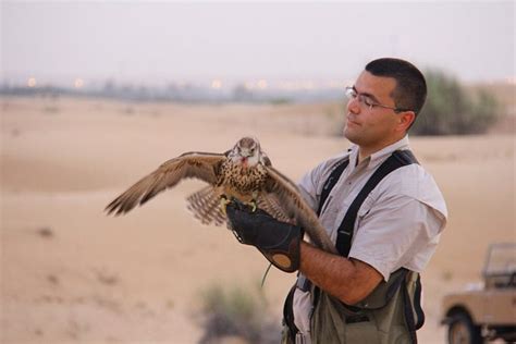 Falcon Hospital - Dakkak UAE