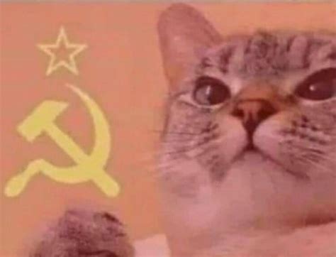 Communist cat Blank Template - Imgflip