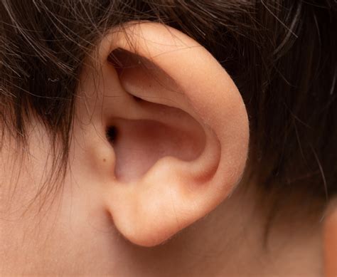 Eczema In Ears - Symptoms, Treatment