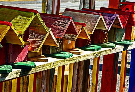 Row Of Bird Houses Free Stock Photo - Public Domain Pictures