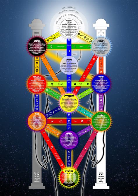 File:Tree of Life 2009 large.png - Wikipedia