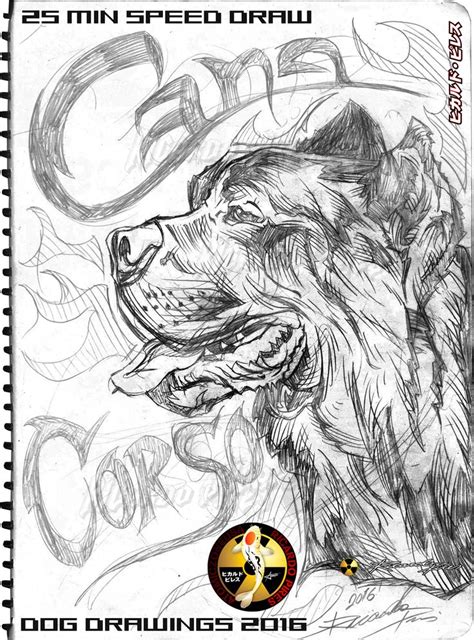 Cane Corso Sketch Dog Designs Cane Corso Logos Dog Logos Dog Drawings ...