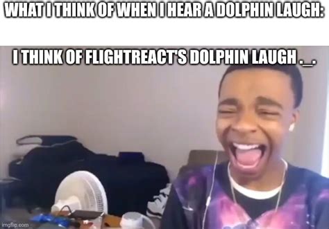 Flightreacts Dolphin Laugh - Imgflip