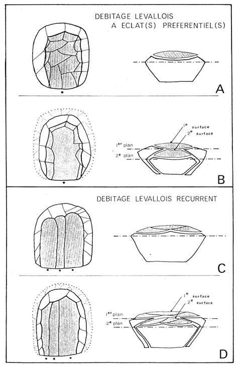 Levallois | Paleodebate