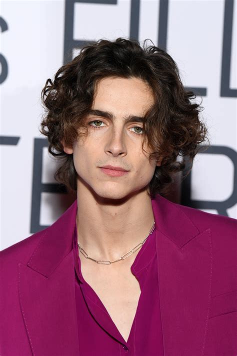 Timothée Chalamet Is In Talks To Play Bob Dylan & It Couldn't Be More Perfect | Celebridades ...