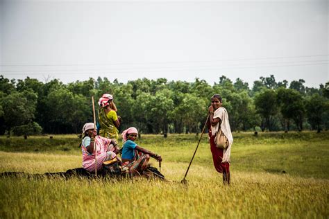 Free stock photo of countryside, dramatic, india
