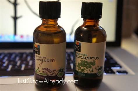 Battling My Itchy Scalp with Lavender and Eucalyptus Oil | Just Grow Already!