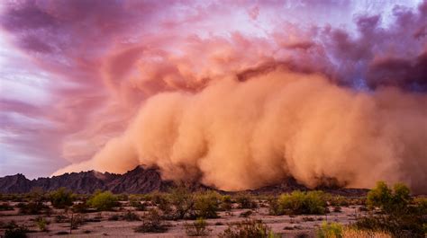 What Is A Haboob?