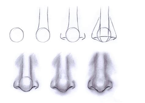 Tips on Drawing the Nose | Like Sketch