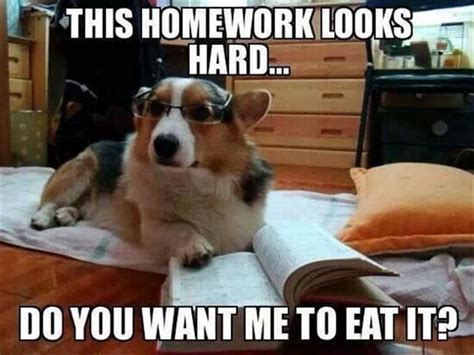 dog eats my homework - Dump A Day