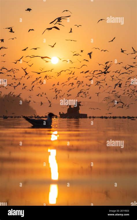 This is what a typical sunrise looks at the yamuna ghat located in ...