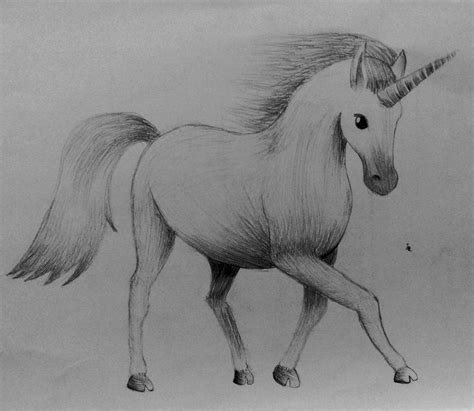 First time draw a realistic unicorn by Lanah-Artz on DeviantArt