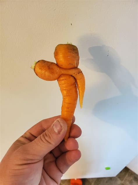 My God!!! A cannibalistic carrot!! What is this world coming to?!?https://ift.tt/3i45k2B Diy ...