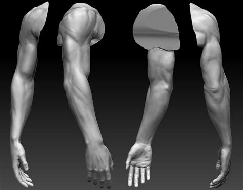 Male Arm Reference Photo Heroic male arm hand by asvtek cgportfolio