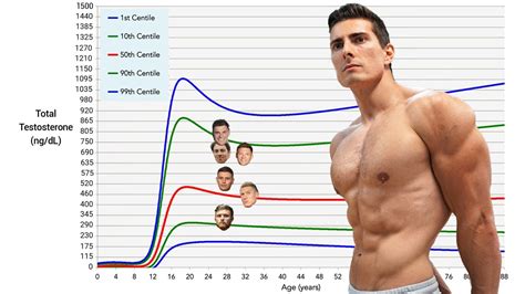 Examples of Testosterone Levels | TESTOSTERONE 101 - YouTube