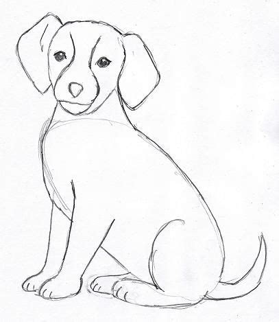 dog-drawing-4. Now go back and erase any extra lines you see. These should be easy to erase if ...