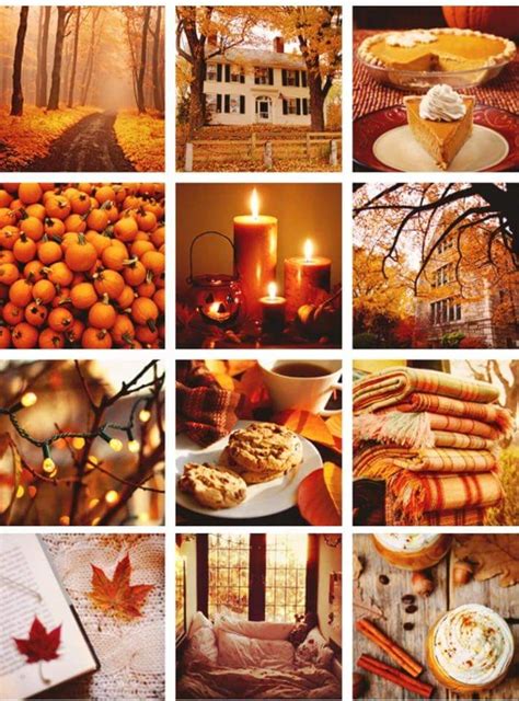 Pin by Ericka Toombs on Fall/Halloween/Thanksgiving | Autumn inspiration, Hello autumn, Autumn magic