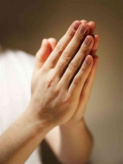 Hands in prayer | Praying hands, Prayer hands, Praying hands images