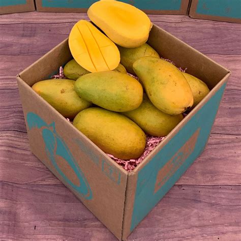 Mingolo Mango Box - Small (5 Pounds) - Tropical Fruit Box