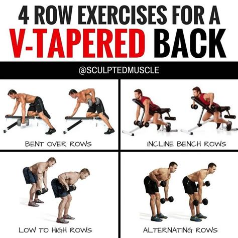 Pin by Jen Shigemi on Pins Are Important | Good back workouts, Dumbbell back workout, Exercise