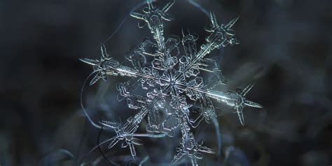 Unbelievable Close-Up Photos Of Snowflakes Reveal A Side Of Winter You've Never Seen | HuffPost