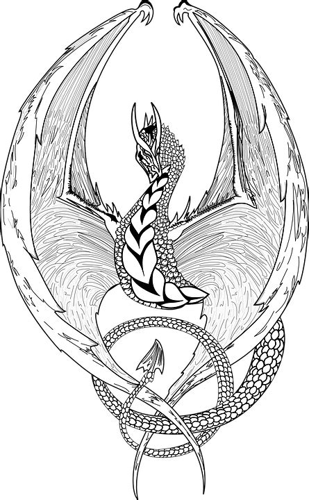 Free vector graphic: Dragon, Fantasy, Lizard, Mystic - Free Image on Pixabay - 147686