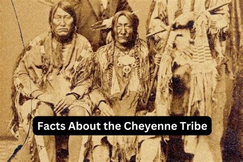 10 Facts About the Cheyenne Tribe - Have Fun With History