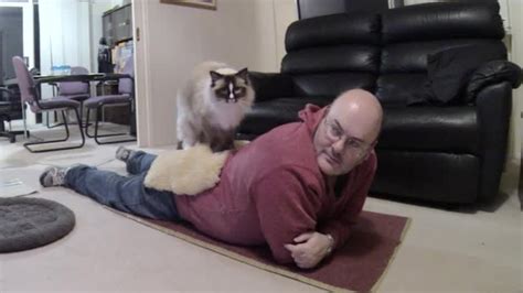 Ragdoll Cat Massages Human - PoathTV Funny Cat Video - PoathCats - YouTube