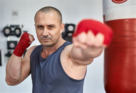 Boxer training in a gym stock image. Image of hands, adult - 85240323